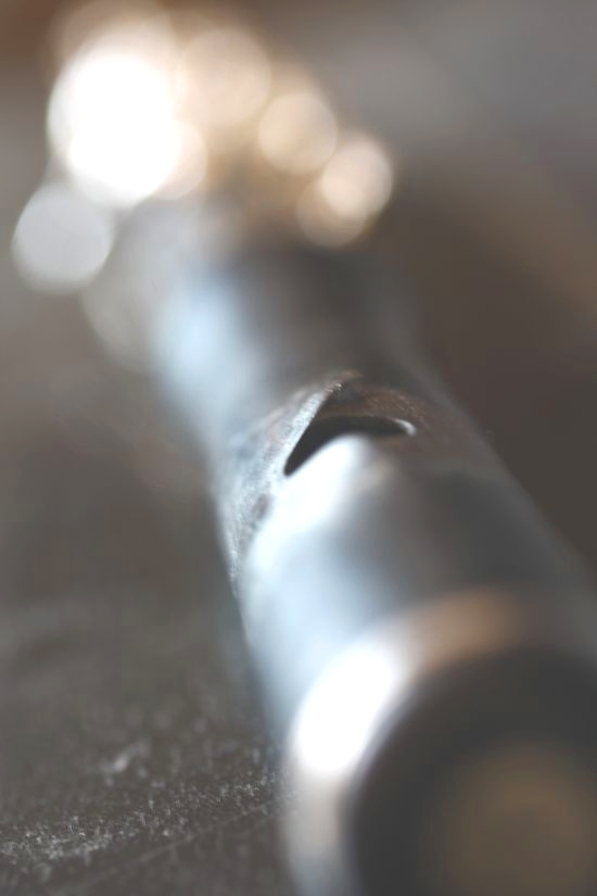 Querflötenunterricht Wien - Querflöte lernen in Wien - für erwachsene - flute lessons - Vienna Flute Studio - Mate Palhegyi